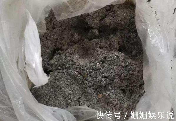 花草生虫害该如何解决学会''3种灰''的用法，养花不再头疼