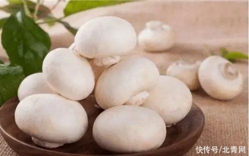 莲子|三伏天这些食物要多吃 莲子清热解暑含钾高