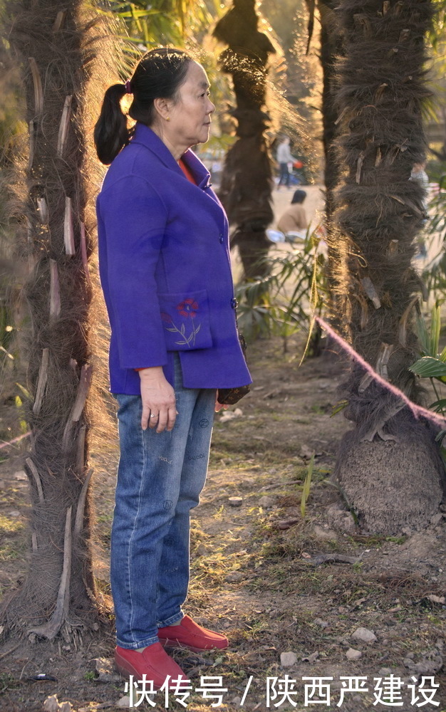 老年|新虹口花园的玉兰花开了【严建设】