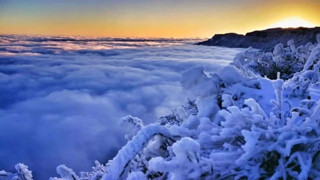 贵州多地迎来新年降雪！雪景太美了！