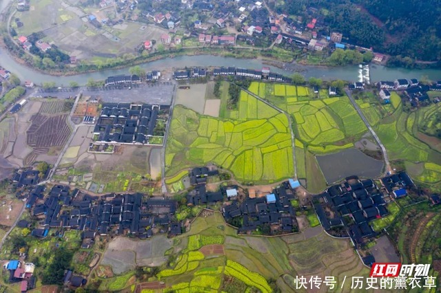 零陵：油菜花映周家大院 遍地金黄美到爆（组图）