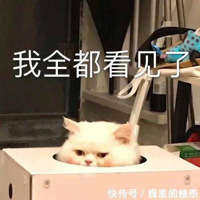 |搞笑GIF：这个猴的进化是不是太快了，脸已经成形了！