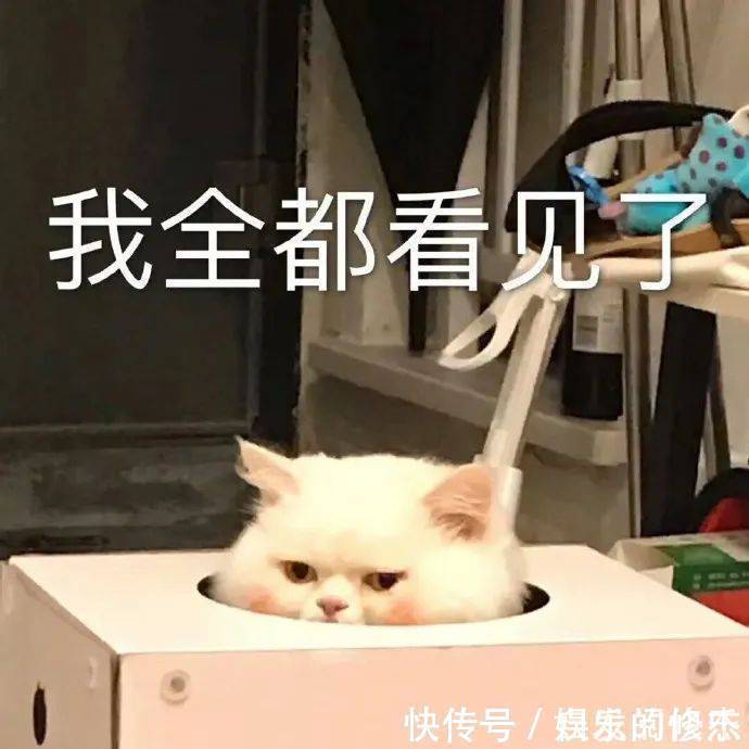 |搞笑GIF:这个猴的进化是不是太快了,脸已经成形了!