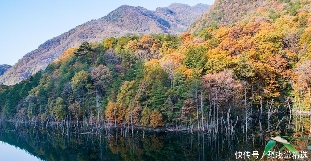 景色|陕西小众的森林秘境，被称“秦岭的香格里拉”，景色不输九寨沟