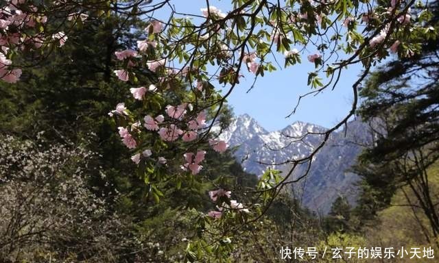 原始森林|「邓生沟」原始森林奇遇记