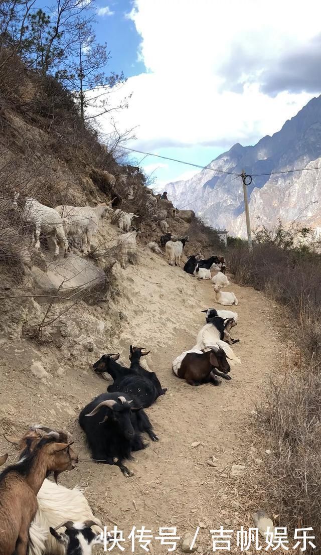 徒步虎跳峡丨享誉世界的徒步线路，一生至少要走一次