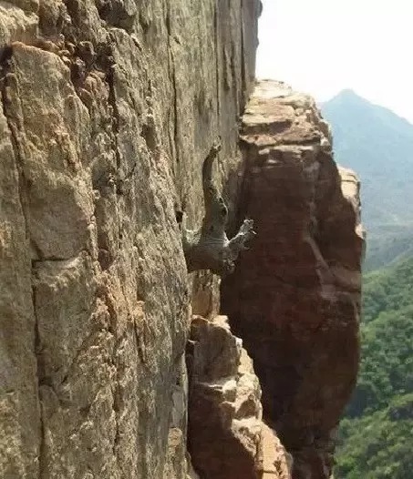 换来|这些文玩都是用命换来的,且玩且珍惜!