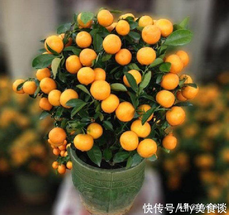 大年初一，牢记“3吃3摆2不做”，老传统别丢了，日子平安顺利