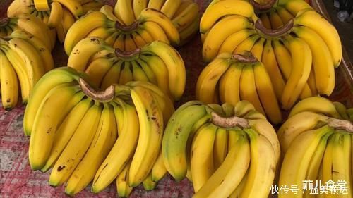 同是香蕉,弯的和直的有什么不同?老果农:区别很大,千万别选错