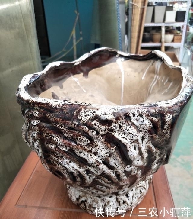 家中的花盆你选对了吗 每一种花盆都适合养什么, 千万不要乱用