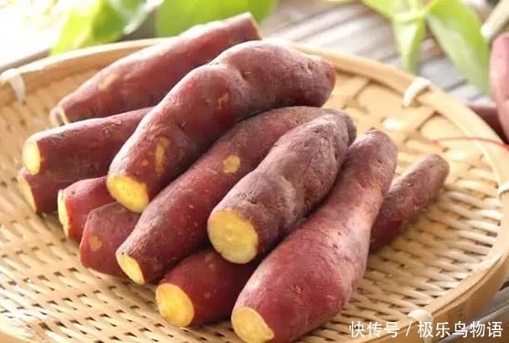 买错|白瓤和红瓤红薯哪个更营养?两者区别原来这么大,以前都买错了