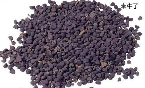 良方|这良方,既可治喘,又可消胀,还可治通身肿