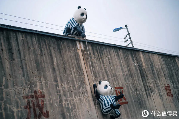 玫瑰|旅行其实很简单 篇九百八十七：入住送粉色玫瑰，整家酒店都是Pink！Pink！Pink！