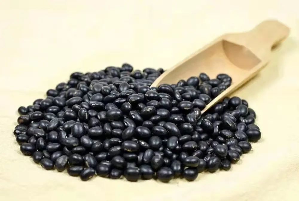 中医|一把黑豆，6味“药”！补肾养血、护血管…但有3类人要慎吃