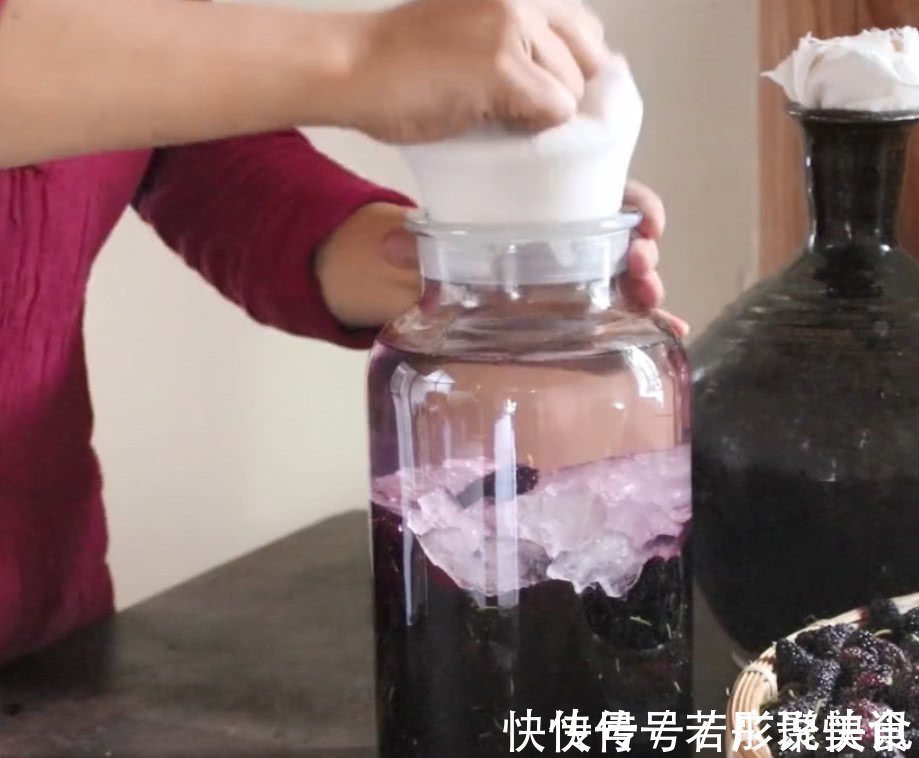 桑葚|深山树上挂满了黑色果实,曾是皇帝御用补品,用来泡酒滋补又美容