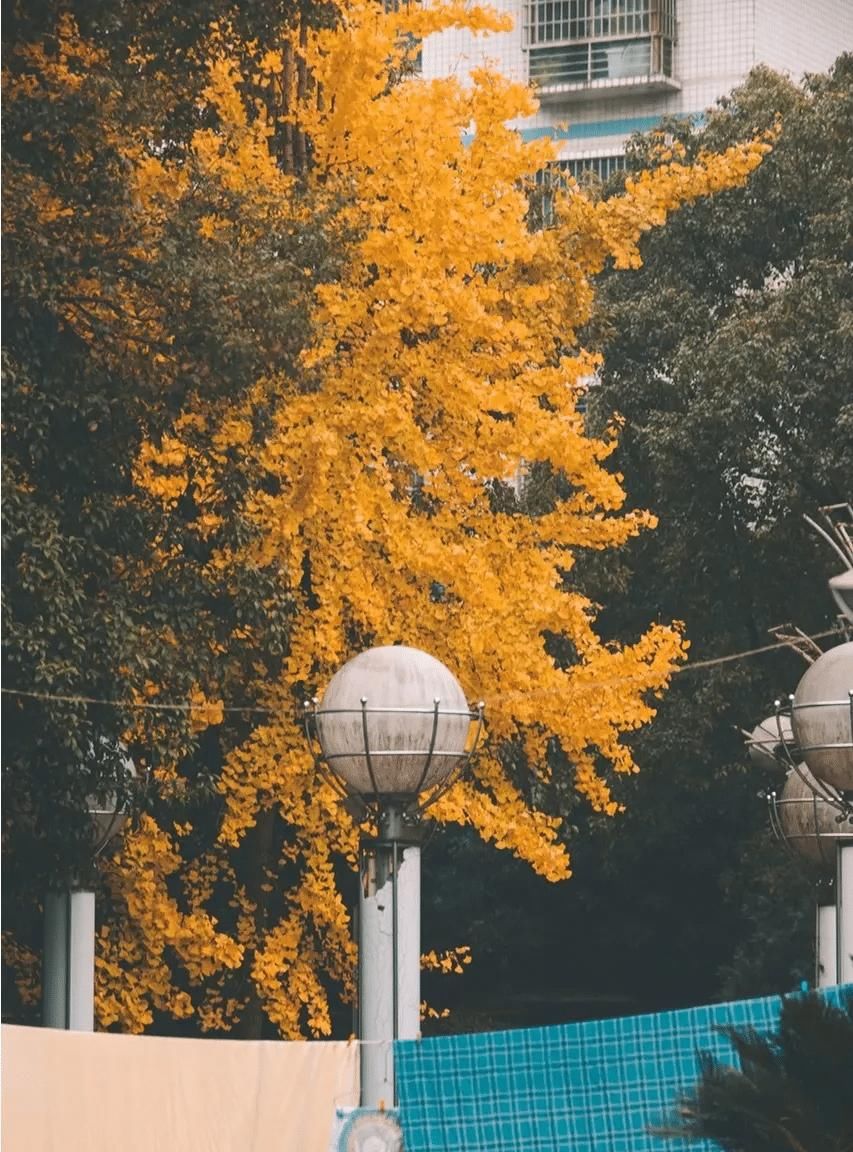 潇湘夜雨|低调帅气，湖南永州