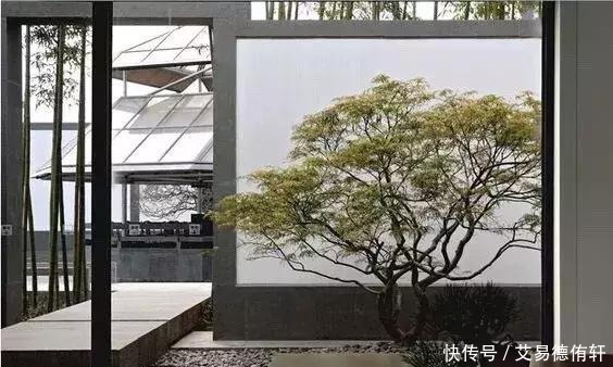 滋润|“我们失去的极品文物,正滋润着美国精神”