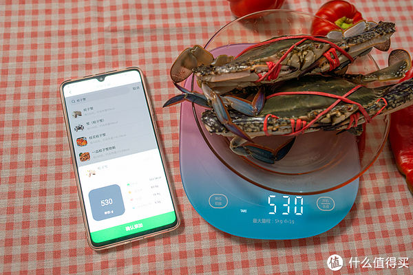 控制体重|管住嘴，迈开腿！Yolanda 智能营养秤厨房秤帮你监测每日食物热量摄入！
