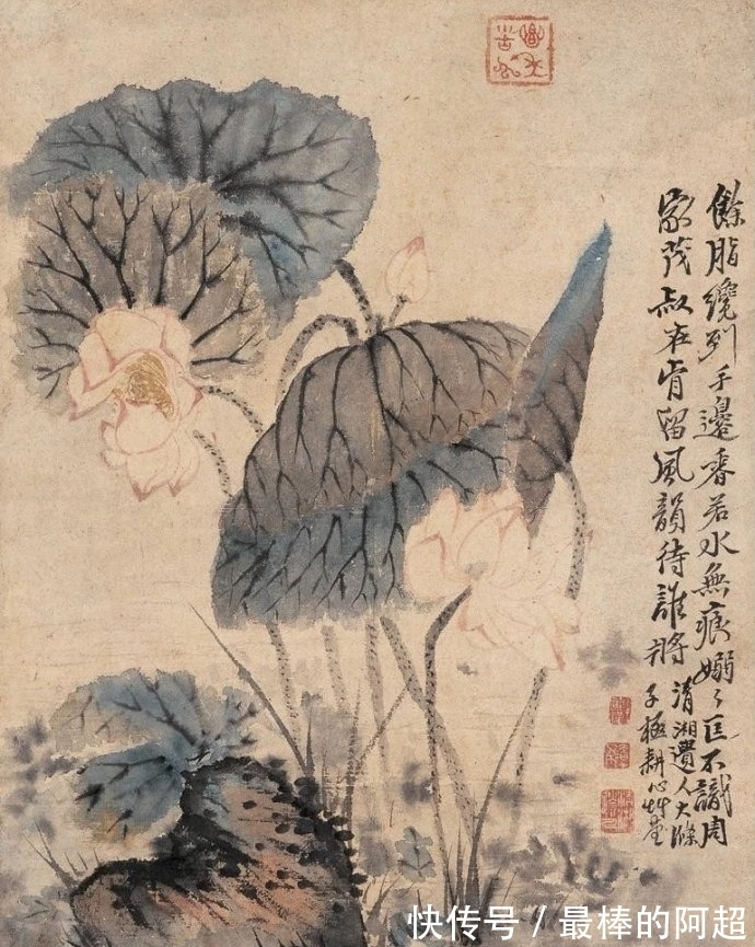 文人画|从石涛、黄宾虹谈中国画的笔墨精神