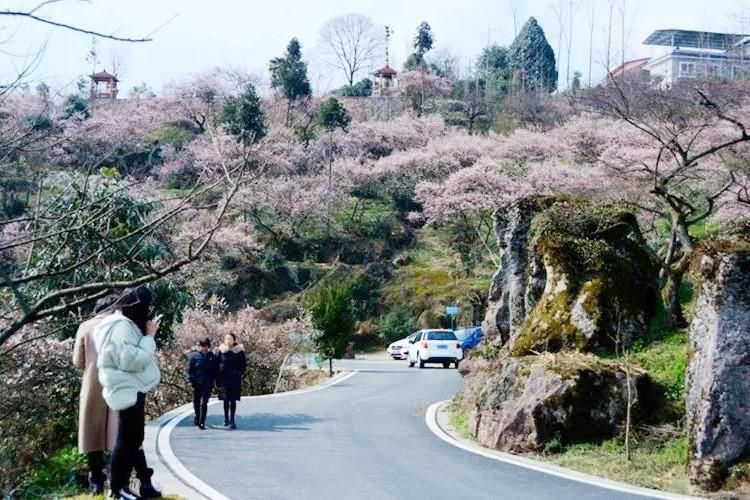 老年|成都周边3个登山踏春地，适合春节1天来回，登山洗肺免门票