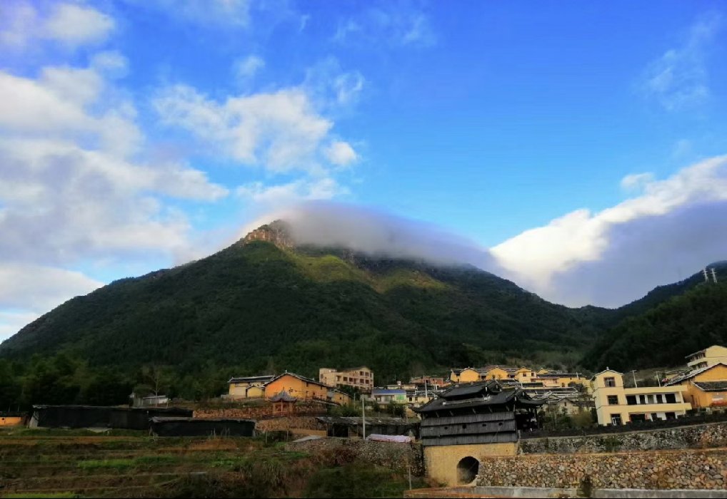 庆元县|茶旅融合 · 美丽薰山下 古朴清幽安逸