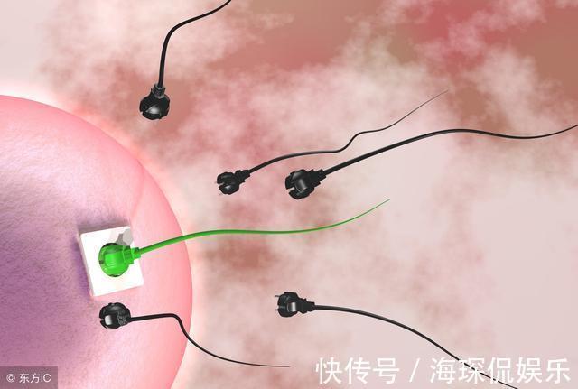 父母|为什么说第一胎生男生女是看父母的强弱势