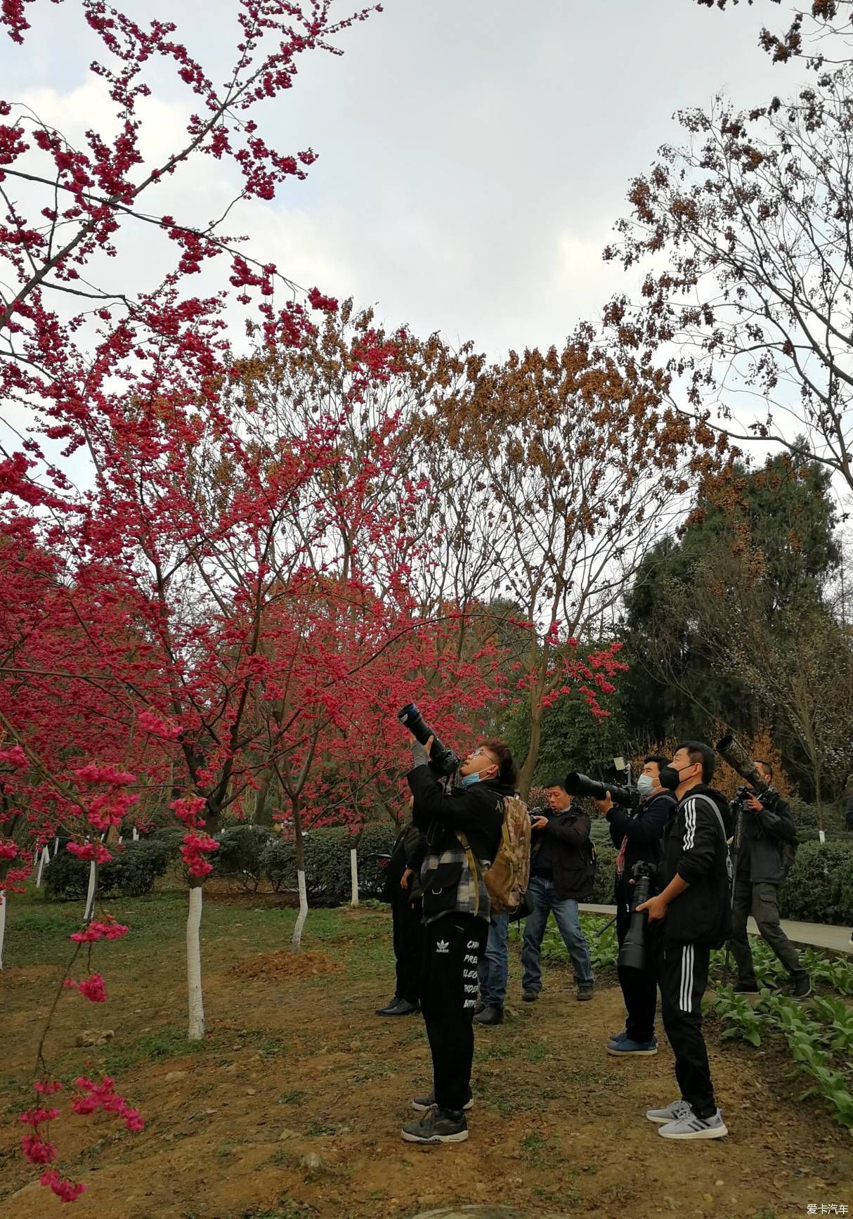 中年|大年初一的成都植物园
