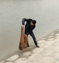 GIF|搞笑GIF:快看镜头,我要多拍几张留作纪念