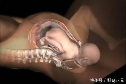 二胎|二胎孕妈路上羊水破了,陌生小伙机智接生,预产期孕妇应知道这些