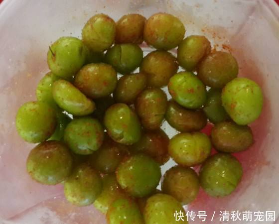 李子皮|五月初,很多老人挑着担子卖它,用辣椒粉腌一会,让人直咽口水!