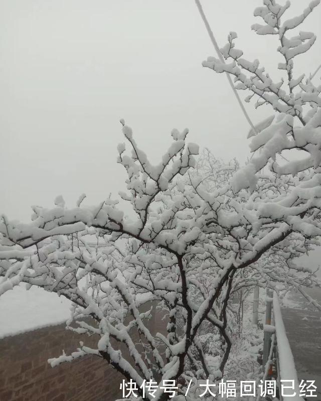 银装素裹|南太行今冬第一场雪来的是那么突然满山银装素裹