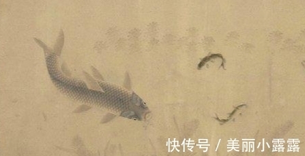 刘寀#东方画谱为何选清晰度不够的《落花游鱼图》入册?
