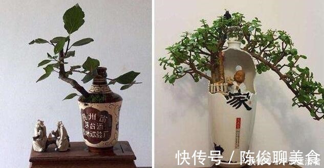 漂亮|这些破烂不要扔，做成“小花盆”，个性又漂亮，比买的强“百倍”！