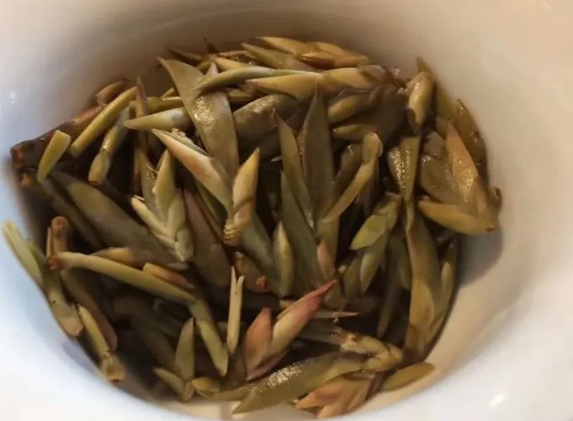 茶树|野茶到底是什么茶?你喝到的可能根本不是茶
