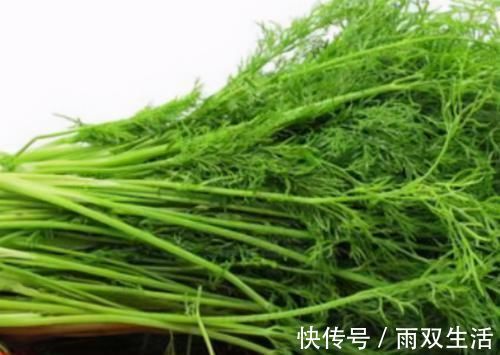 杨梅杨梅|人到中年想长寿,不妨坚持吃3种食物,美容养颜、滋补身体!