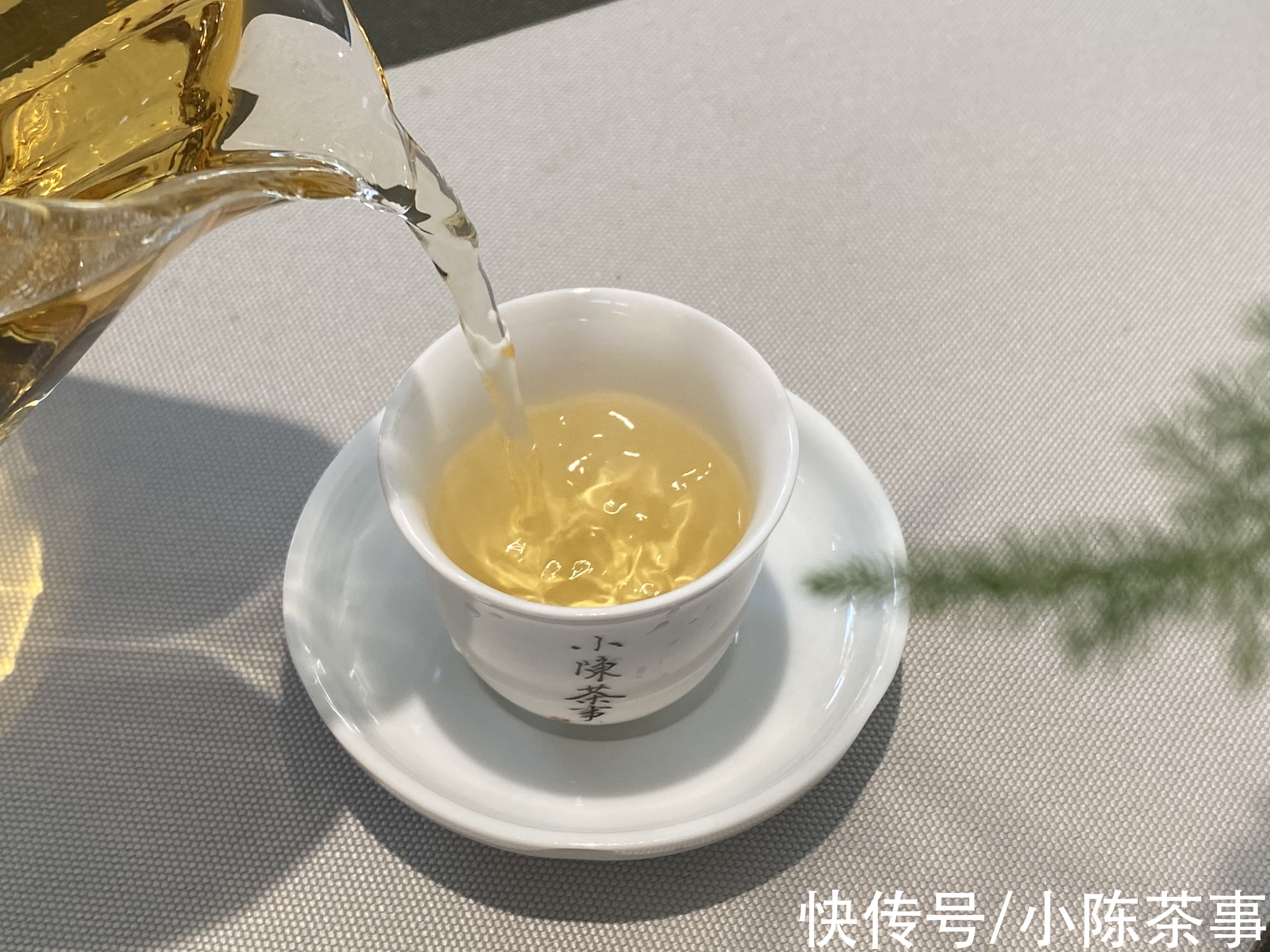 茶叶$常喝白茶的老茶客，整理的投茶量标准，盖碗、玻璃杯、煮茶壶齐了