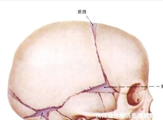 颅骨|德国妈妈坚持顺产不想留疤，宝宝出生后颅骨骨折5天后夭折