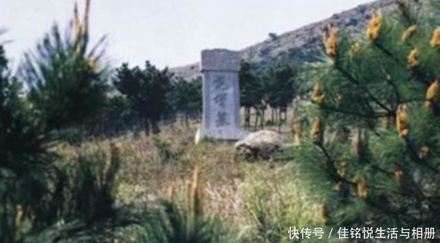 刘邦|若是范增不被项羽撵走, 项羽能夺得天下吗 答案让人诧异