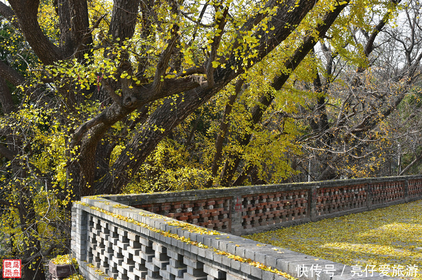 辉县|谁来保护这处全国重点文物保护单位(辉县白云寺)?