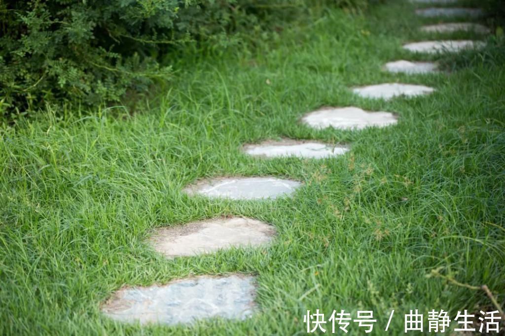 等我老了以后,找个小院陪你养花种菜!