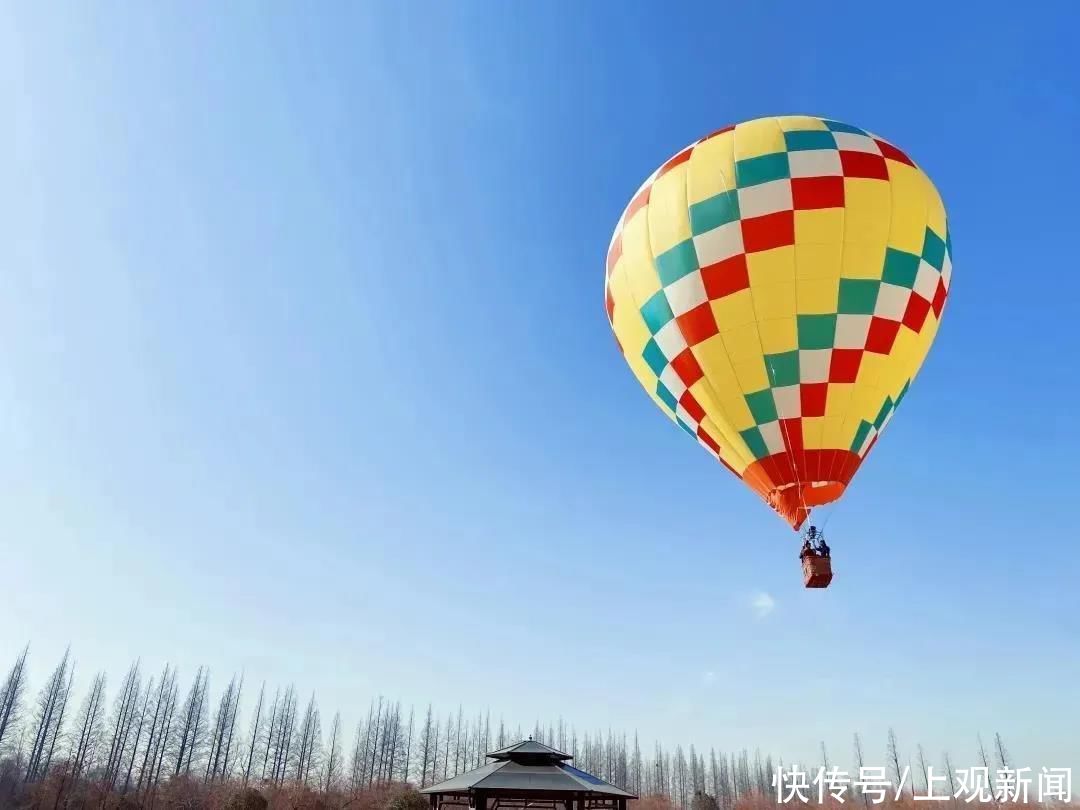 崇明这条精品线路让你不虚此行，春光明媚，走起