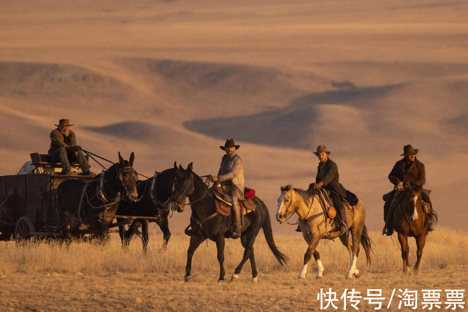 丛林奇航|淘气电影日爆|《海贼王》真人剧集官宣阵容;《悬崖之上》将代表内地角逐奥斯卡