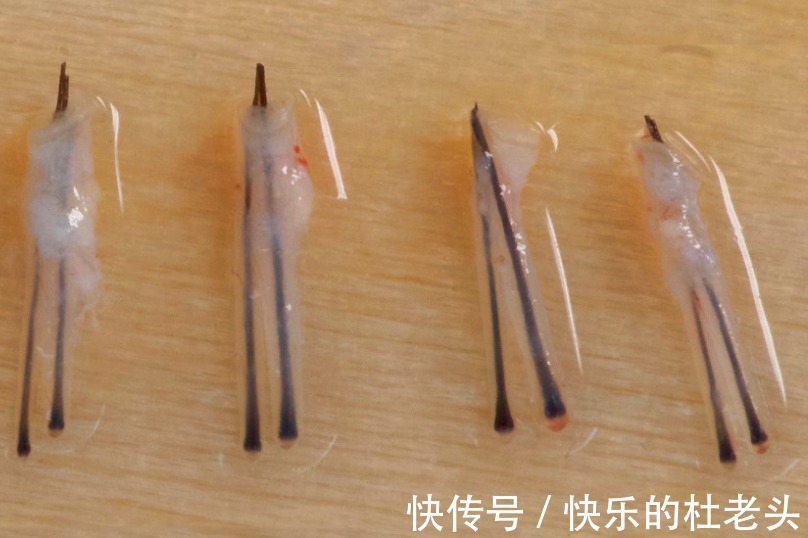 移植 植发后会掉发吗?谁要说百分百不掉发,不是心黑就是无知!