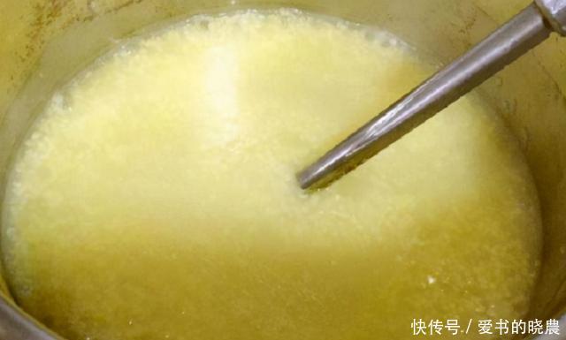 学会|熬小米粥,直接下锅可不行,学会这3招,粥香浓稠有米油