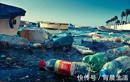 塑料|强制执行限塑令，大批商户有苦难言，有人发现了其中“商机”