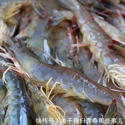 买大虾,别只看价钱,遇到这4种白送都不能要,老板自己从来不吃