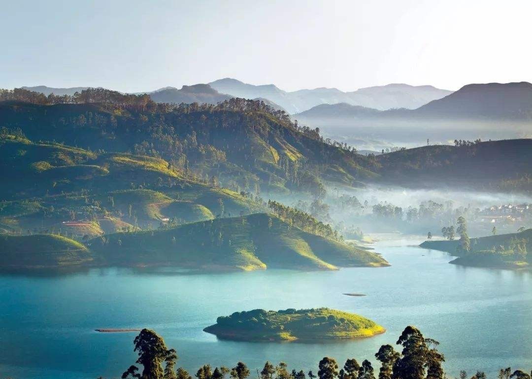 独特|外国王子到中国逃难,在中国生根发芽,还因此产生一独特姓氏