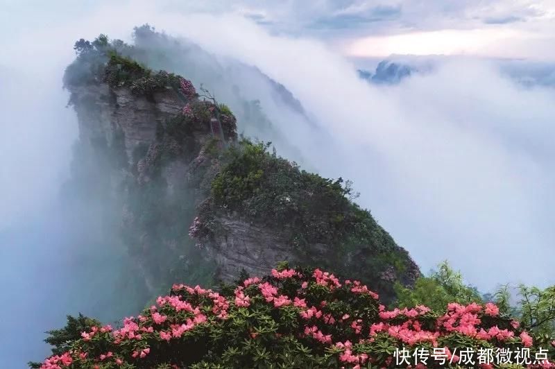 光雾山旅游景区，拟升5A级|喜报 | 景区