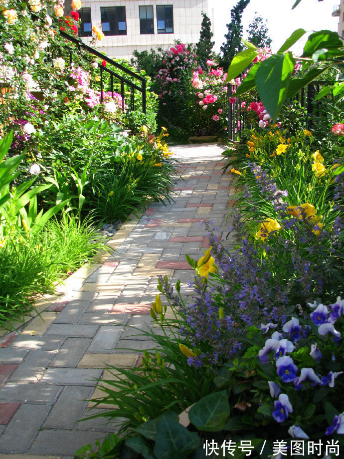 阳台上|为建花园,不顾反对买了一楼带院子,3年的亲手布置朋友都羡慕了