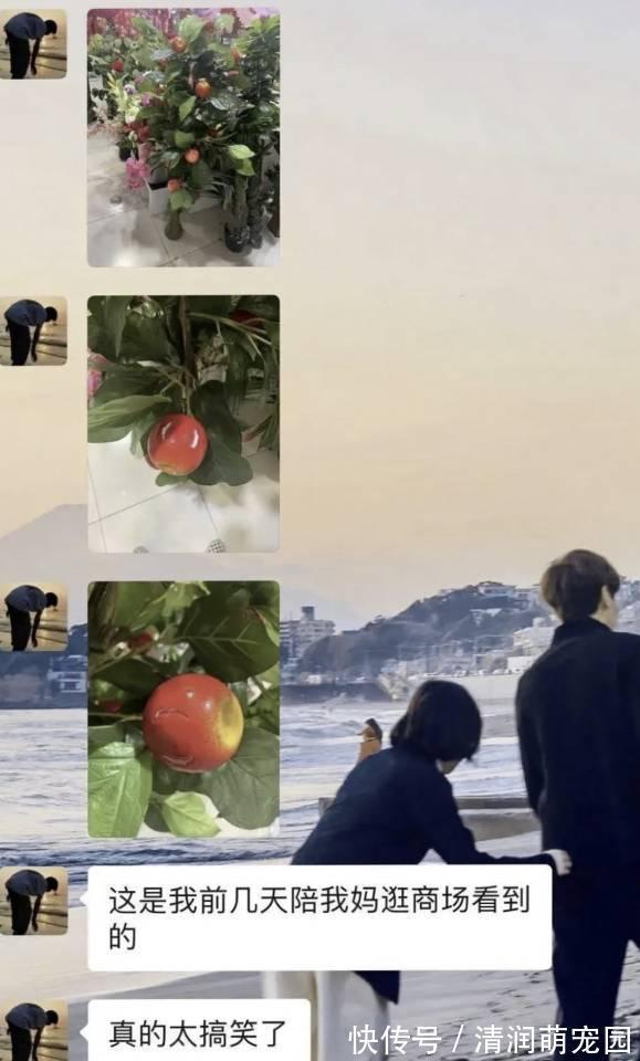 顾客|“某宝顾客强行挑错是什么体验?”商家:我是不是看起来不太聪明